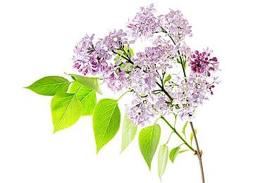 《暗黑破坏神4》中文预告 周末免费体验暗黑地狱世界